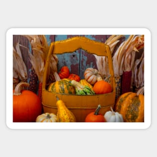 Yellow Bucket With Autumn Harvest Sticker